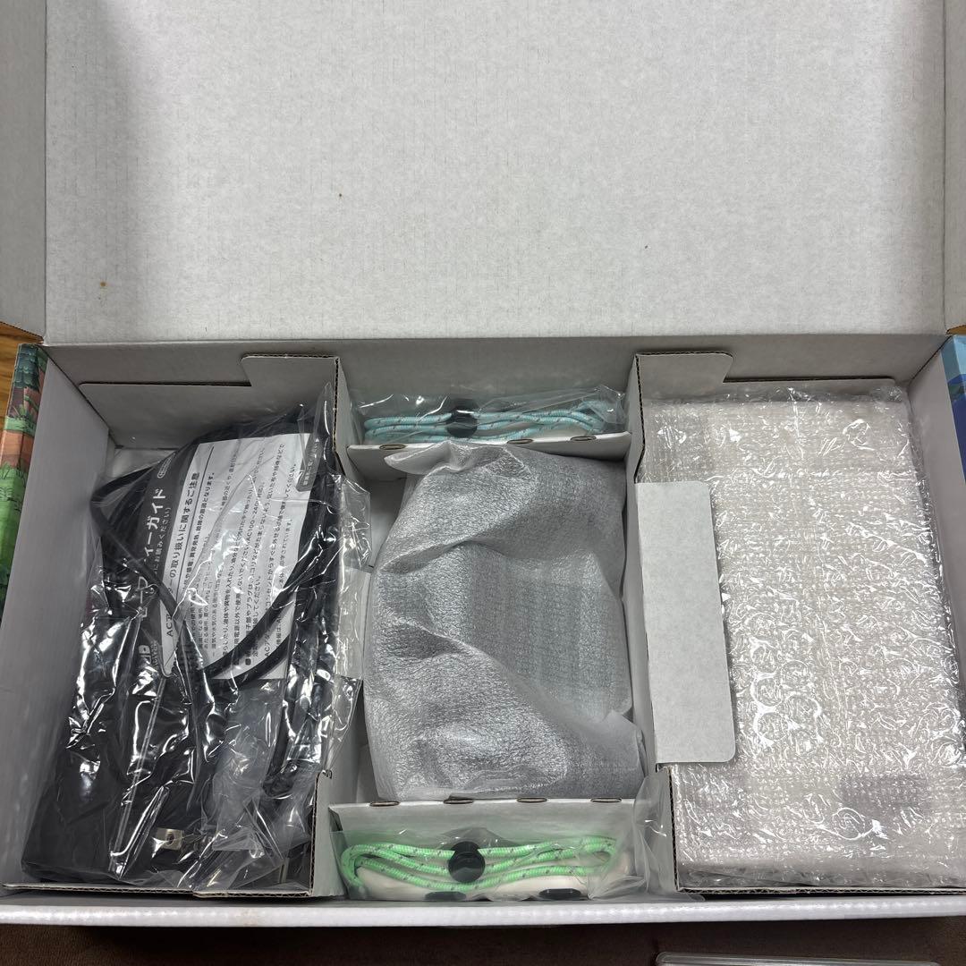 美品 NintendoSwitch あつまれどうぶつの森セット ソフトあり