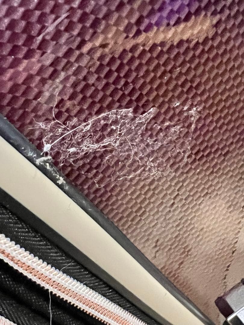 美品　レジェンドウォーカー　 ハードケース　キャリーケース