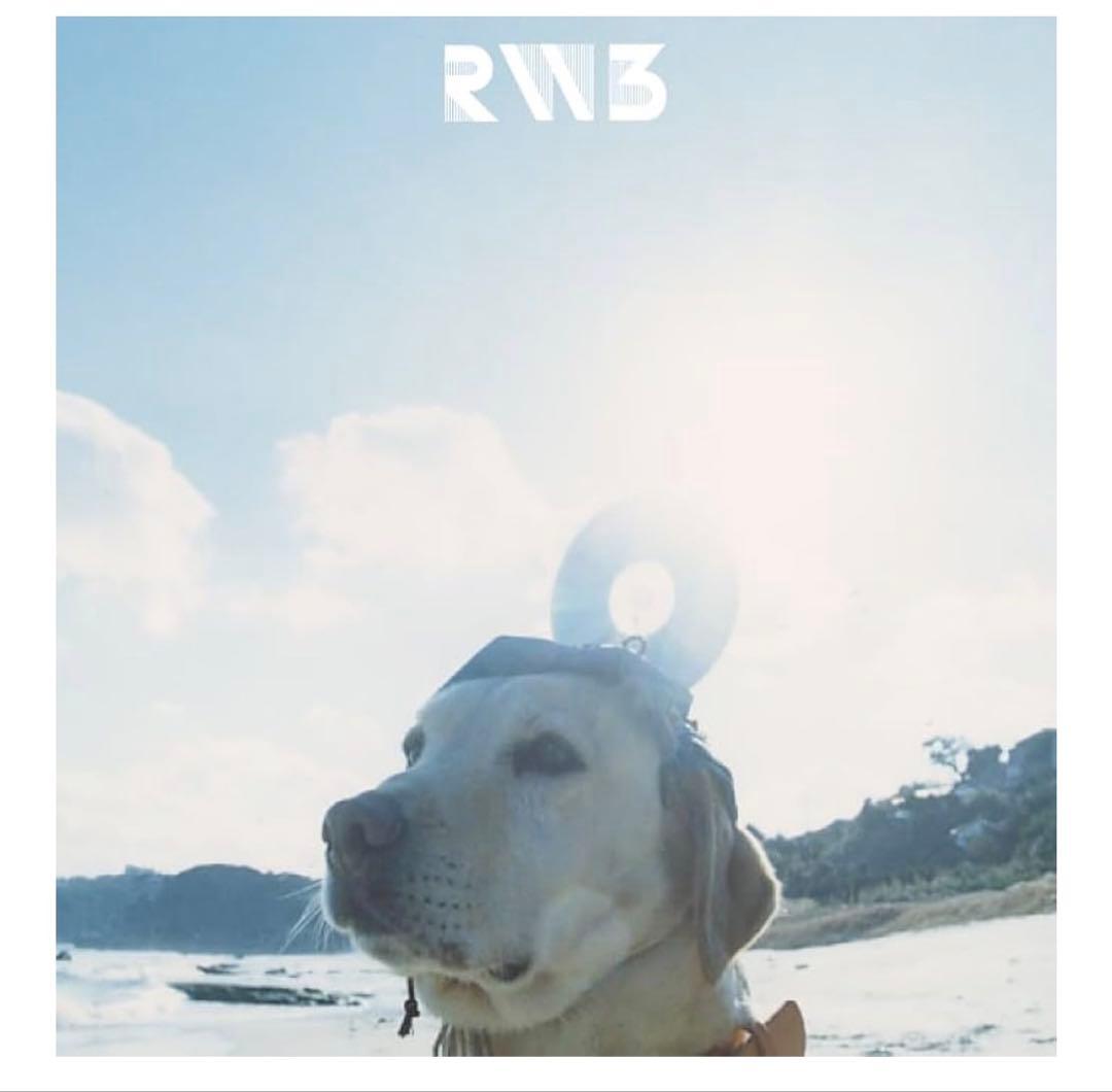 RADWIMPS 3点セット　LP