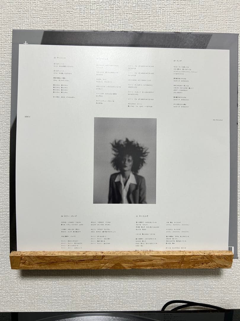 † / ドレスコーズ レコード