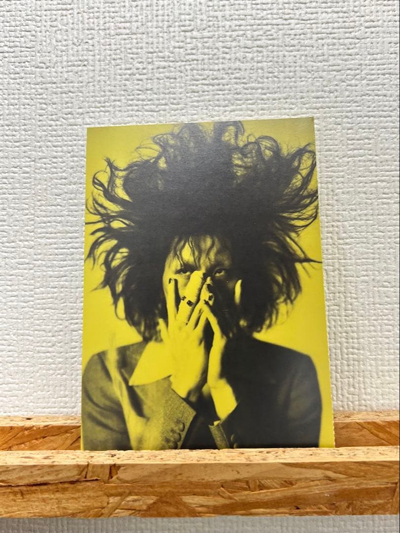 † / ドレスコーズ レコード