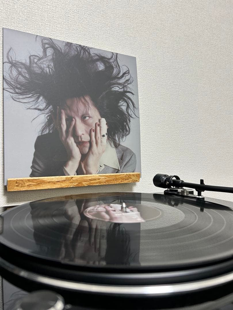 † / ドレスコーズ レコード