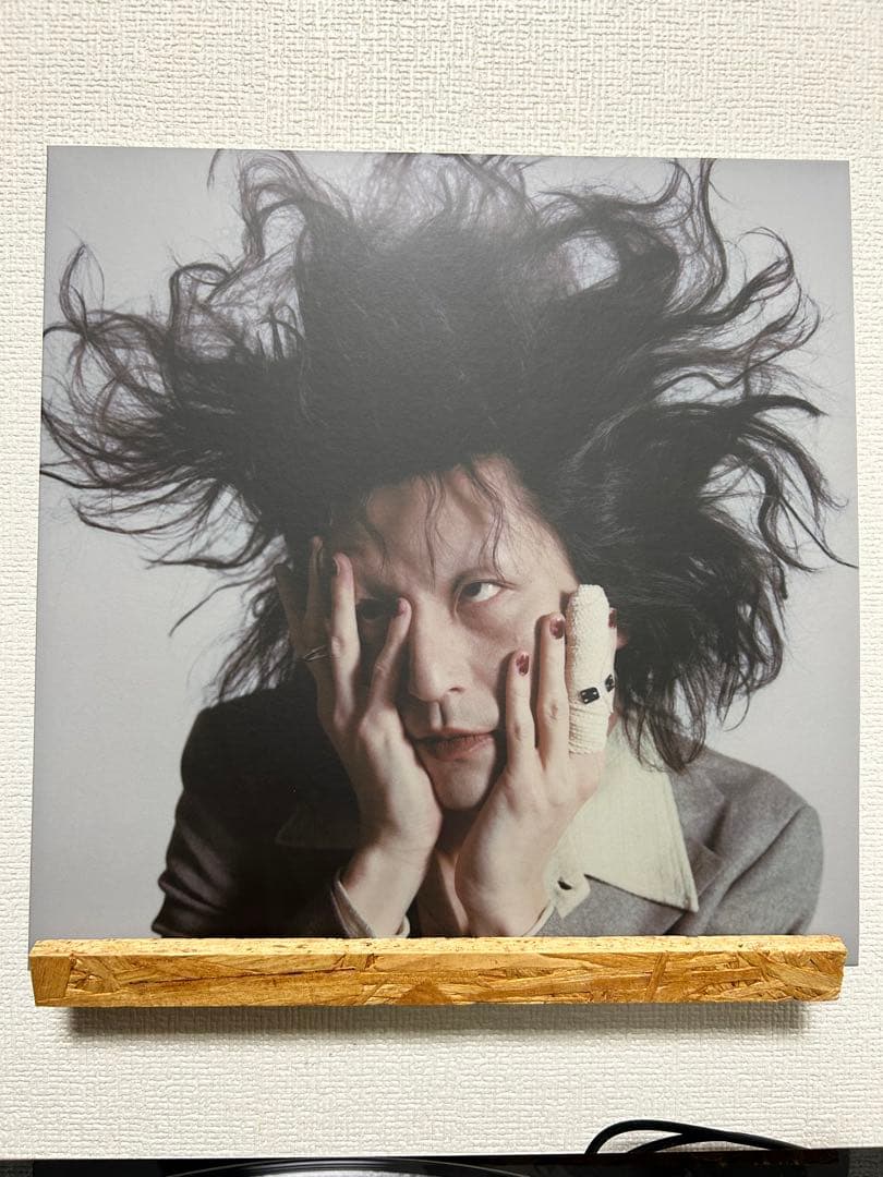 † / ドレスコーズ レコード