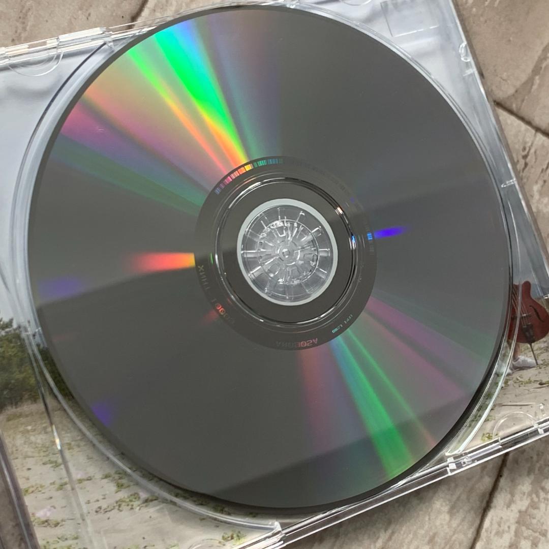 Roomy/song sparrow：美品CD