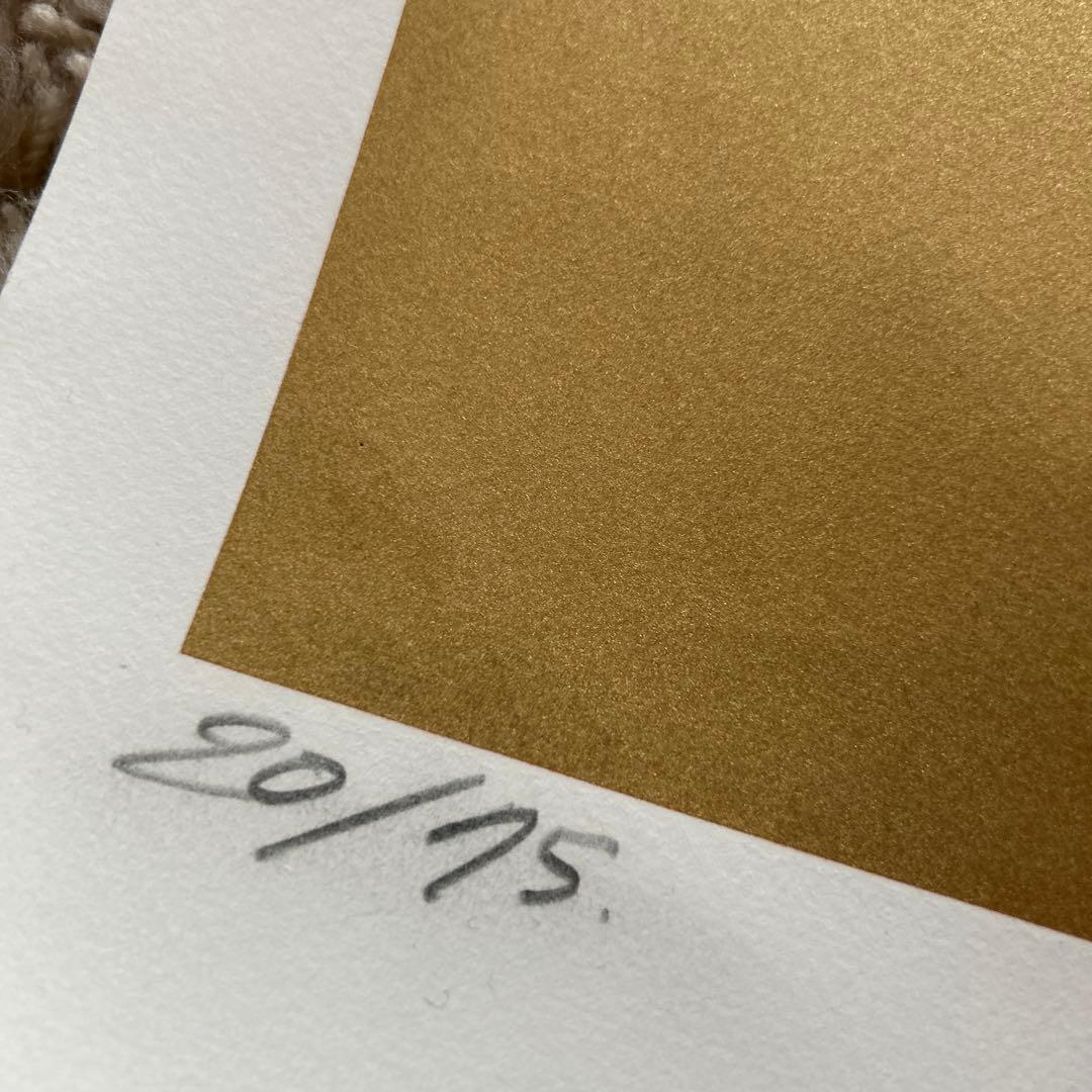 Sal Transient ポスター dj krush hiphop