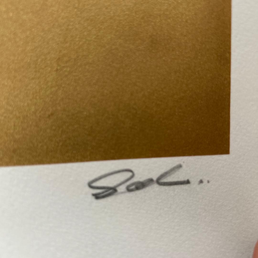 Sal Transient ポスター dj krush hiphop