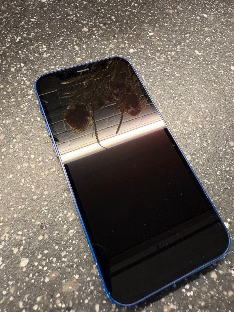 iPhone 12 【ブルー、128GB、正常稼働確認済】