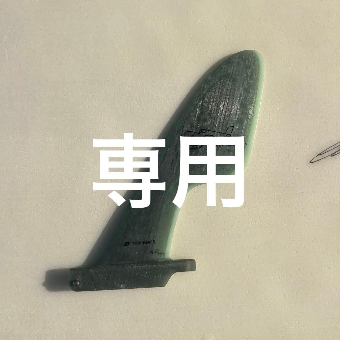 専用　　TRUE AMES Power Blade フィンのみ