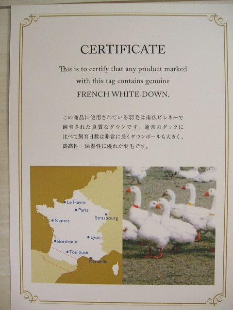残り1点激安価格！新品＊ロイヤル＊フランス９３％＊増量１，３キロ＊羽毛布団ＳＰ