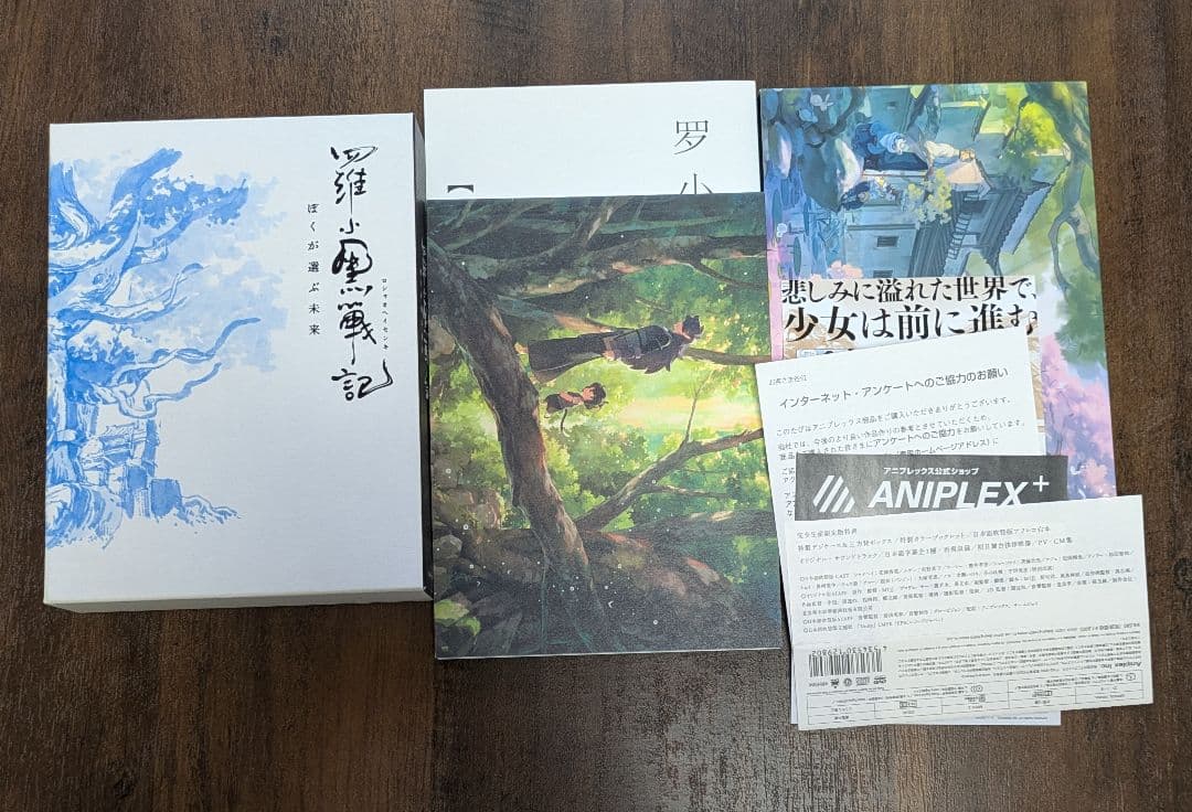 羅小黒戦記　ぼくが選ぶ未来　DVD