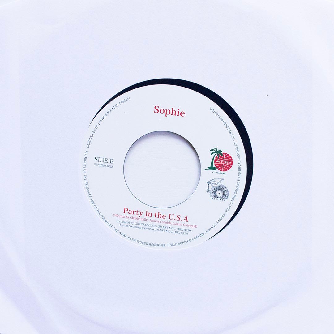 人気盤セット販売 LOVERS ROCK JETSET企画 7インチ 5枚