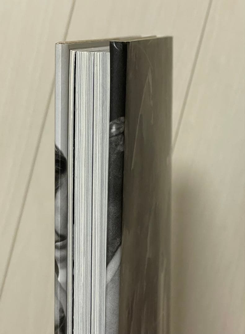 アート・デザイン・音楽 THE END: MONTAUK, N.Y. by MICHAEL DWECK