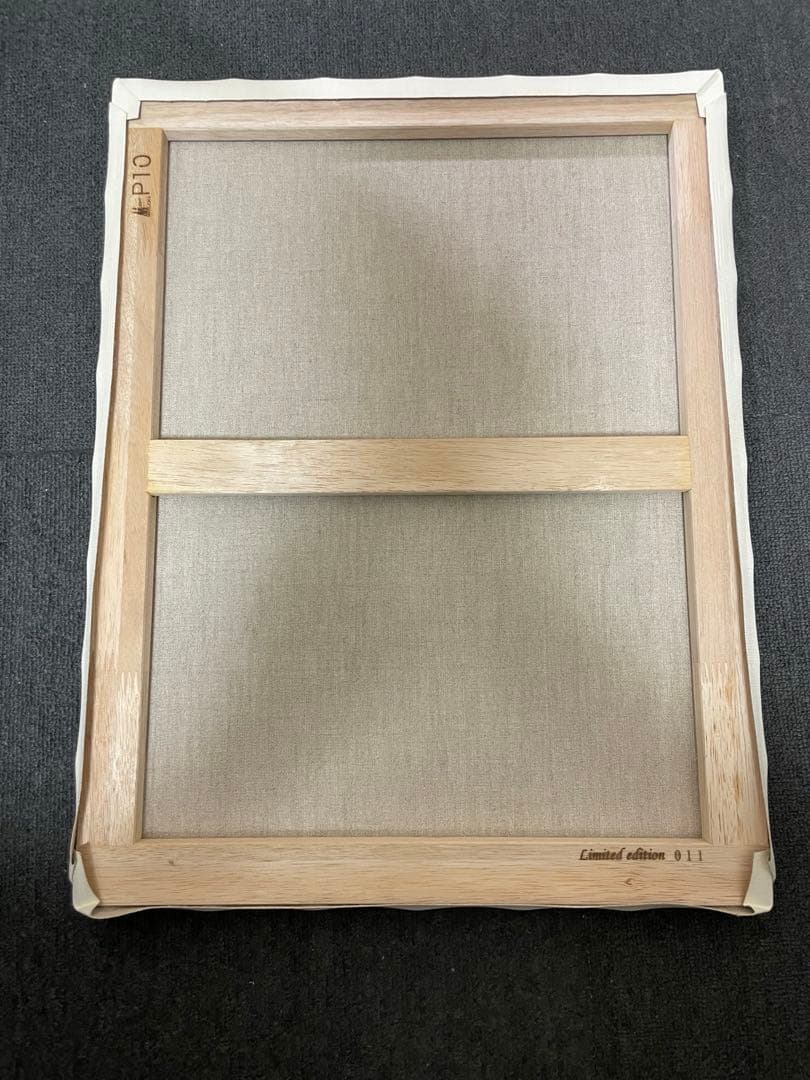 RADIO EVA キャンバスアート　使徒