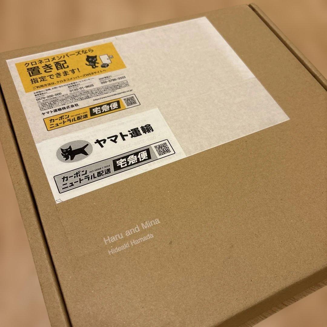 【未開封】濱田英明 写真集「Haru and Mina」初版本