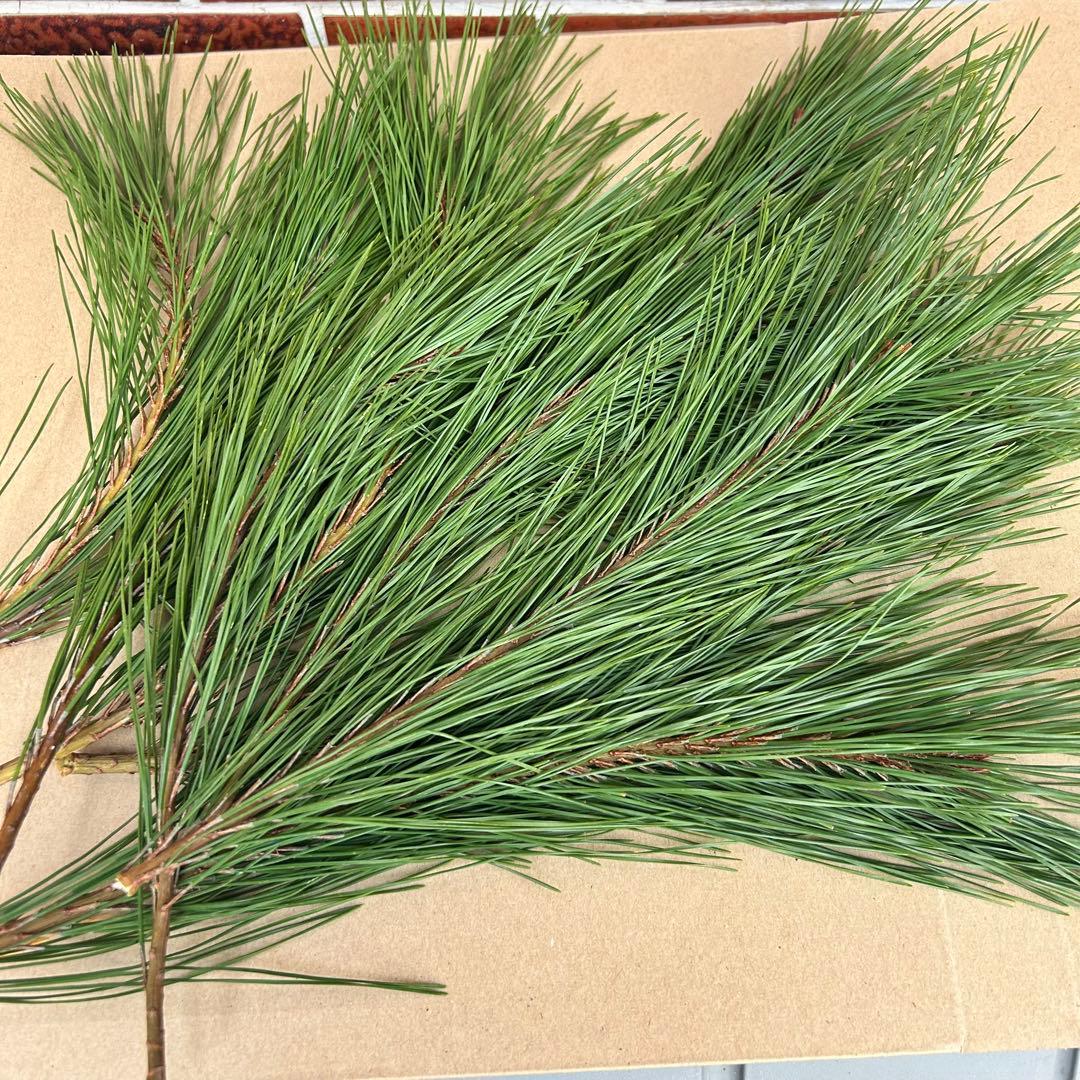 Mammyさま専用 超特大一対 門松 ハンドメイド 自然栽培