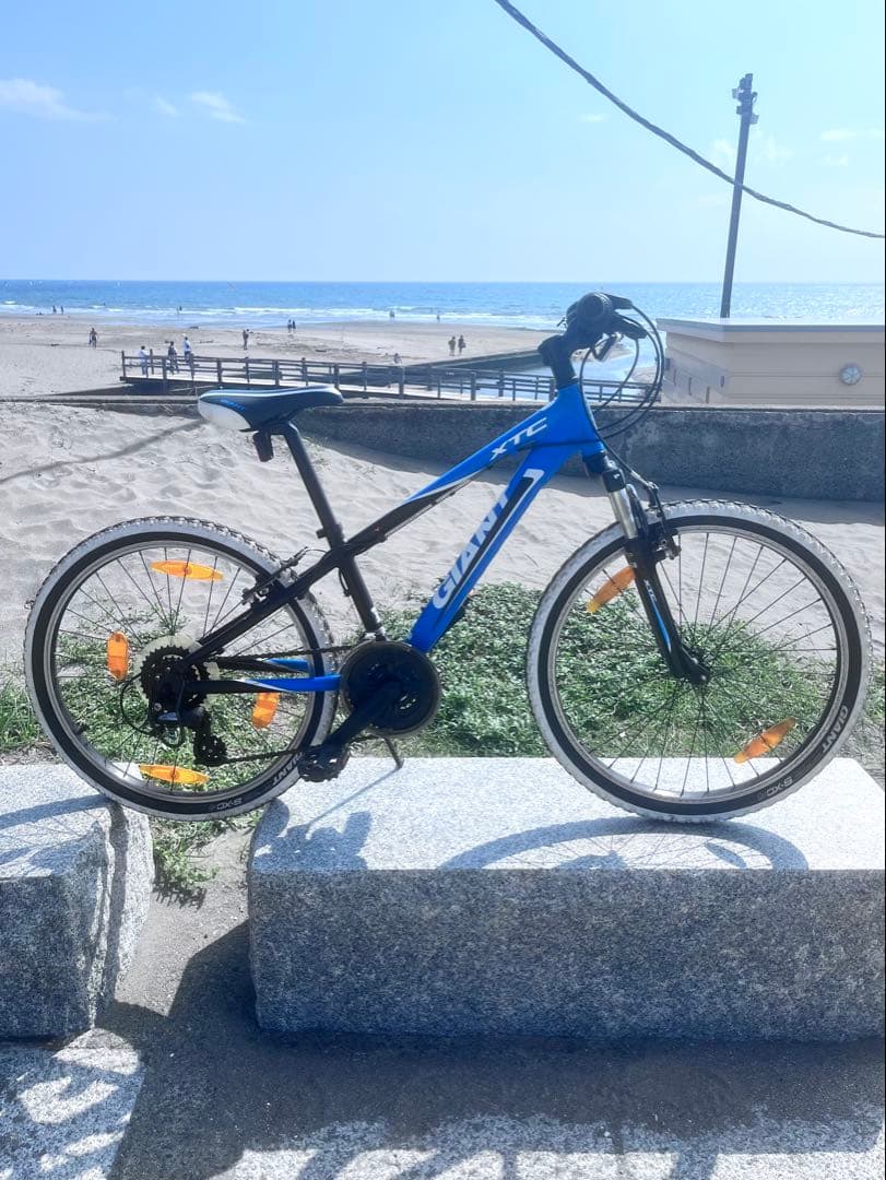 GIANT24インチ新品チューブ不具合無し