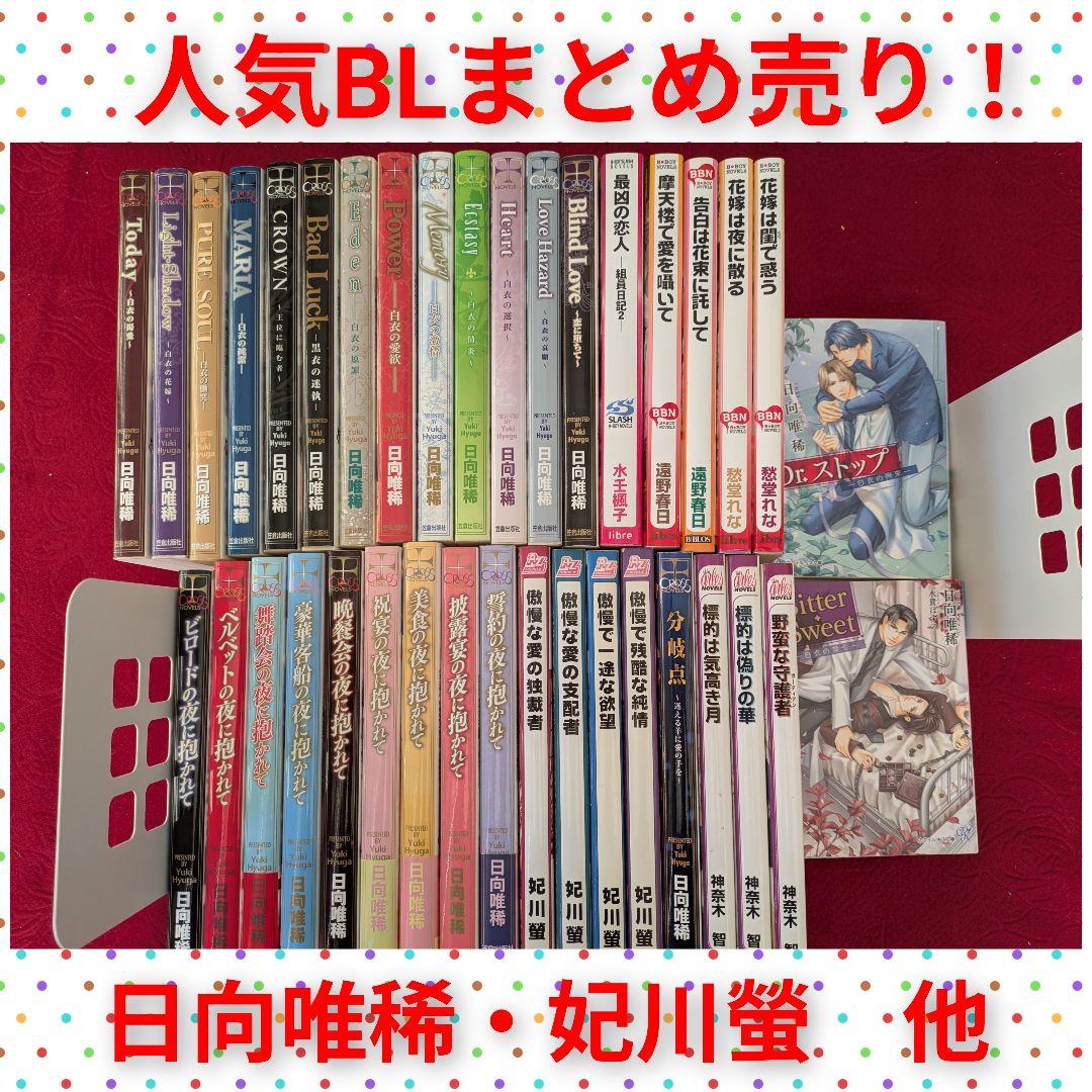 商業BLまとめ売り！　37冊　日向唯稀　愁堂れな　遠野春日　神奈木智　妃川螢