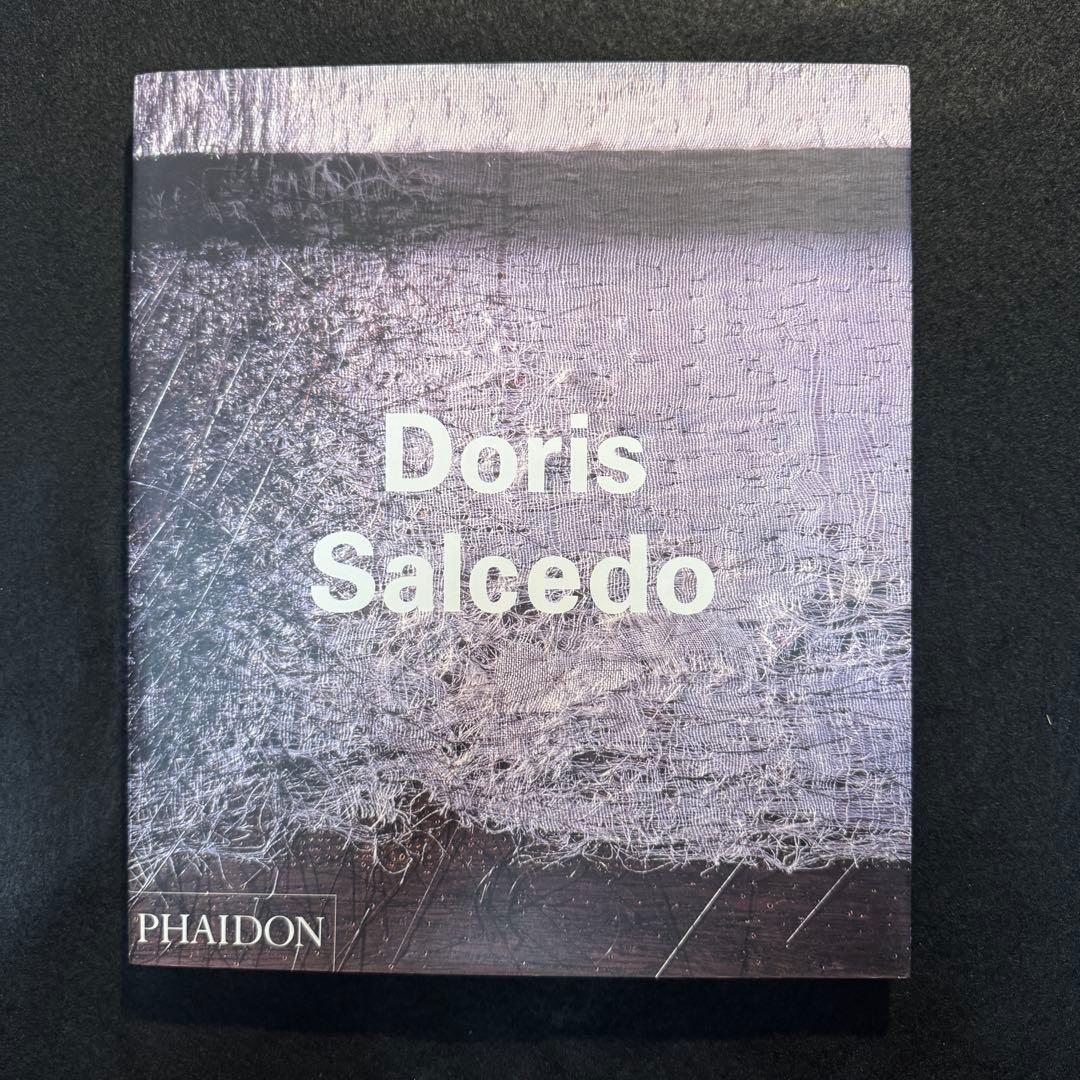 Doris Salcedo ドリス サルセド Contemporary 作品集