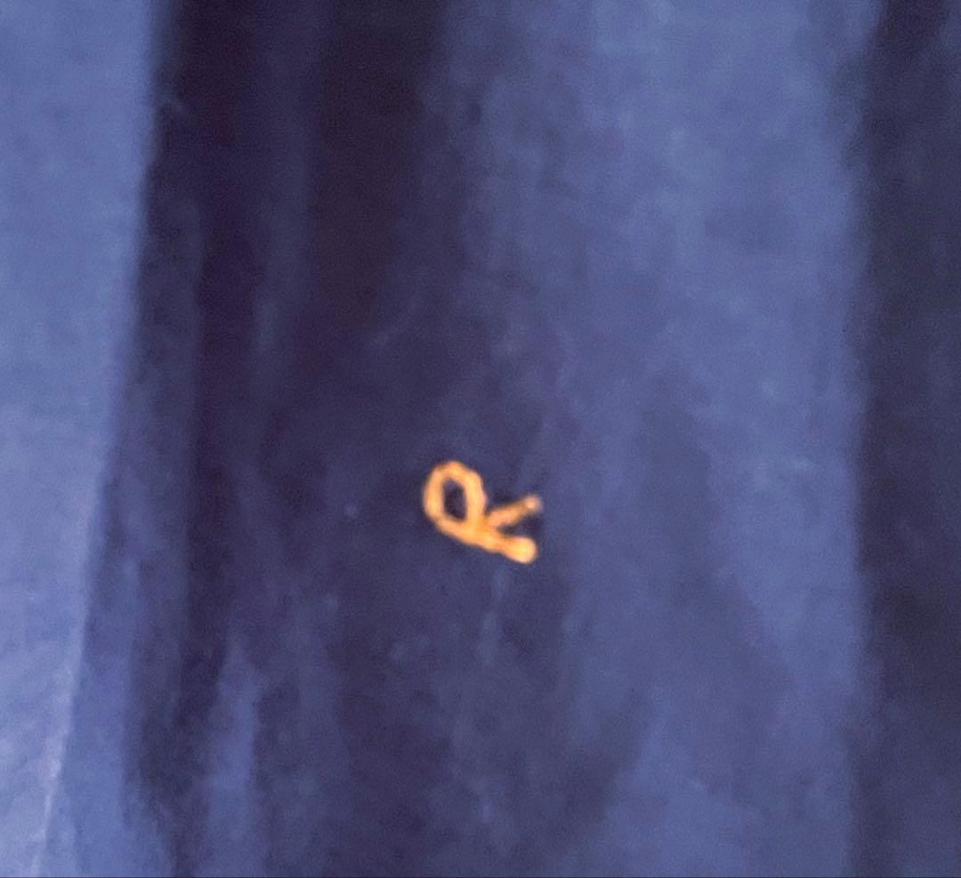 未使用　45R タツノオトシコ刺繍入りポロシャツ