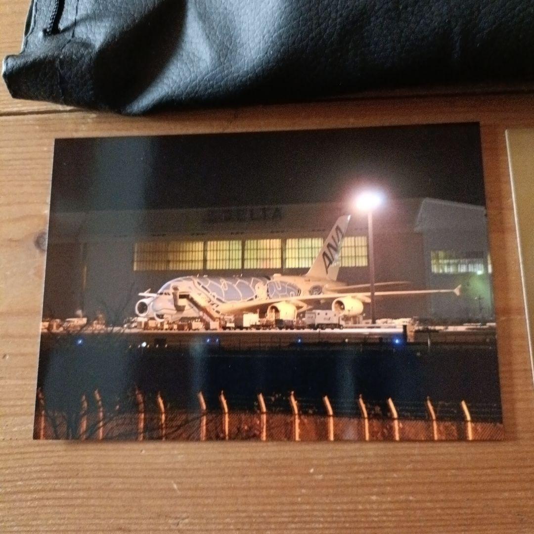 LIGHTDOW 420-800mm 望遠レンズ ソニー用アダプター付