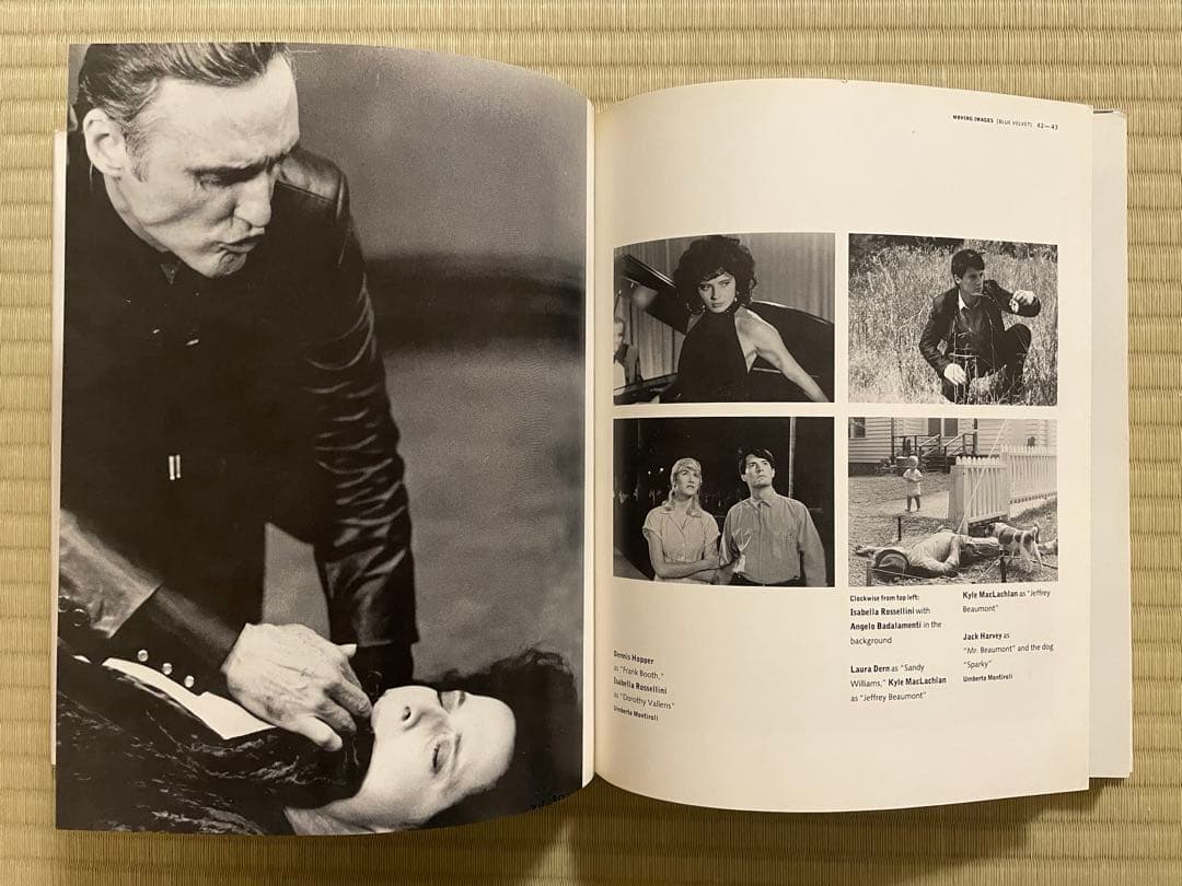 IMAGES　DAVID LYNCH　デイヴィッド・リンチ〈洋書〉