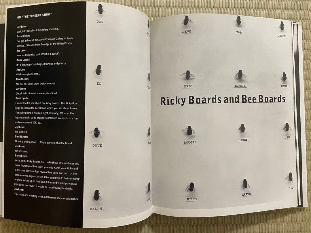 IMAGES　DAVID LYNCH　デイヴィッド・リンチ〈洋書〉