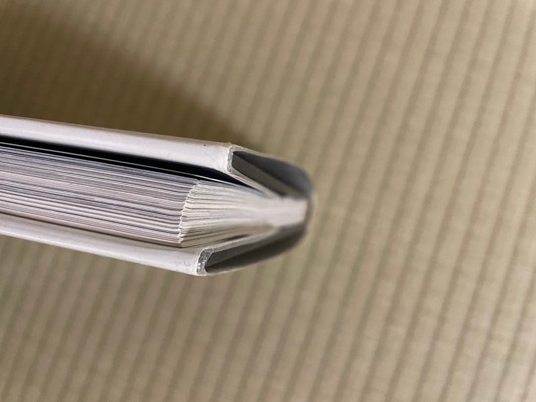 IMAGES　DAVID LYNCH　デイヴィッド・リンチ〈洋書〉