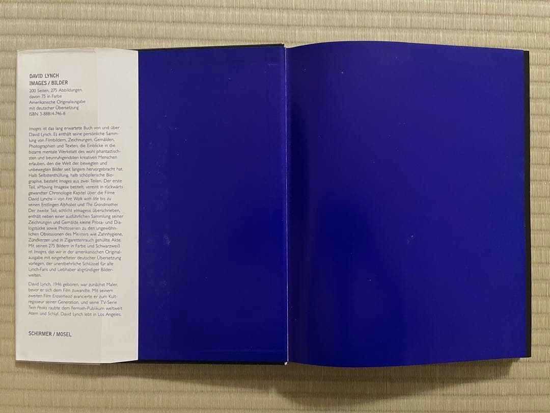 IMAGES　DAVID LYNCH　デイヴィッド・リンチ〈洋書〉