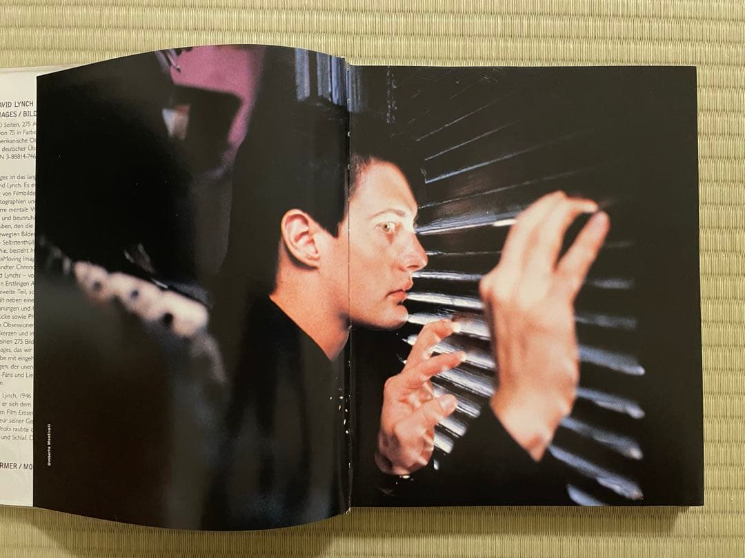 IMAGES　DAVID LYNCH　デイヴィッド・リンチ〈洋書〉