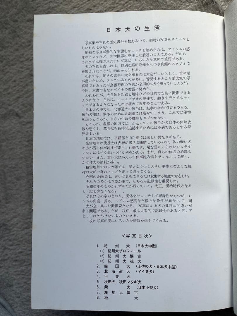 天然記念物　日本犬　（希少学術書）