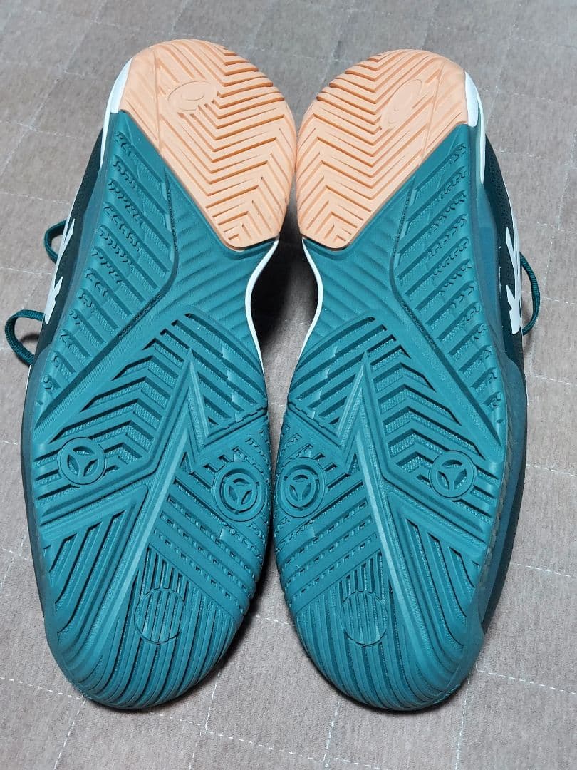 ASICS GEL-RESOLUTION テニスシューズ 25.5cm