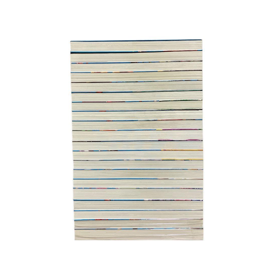 人狼サバイバル　1~20巻　20冊セット　非全巻