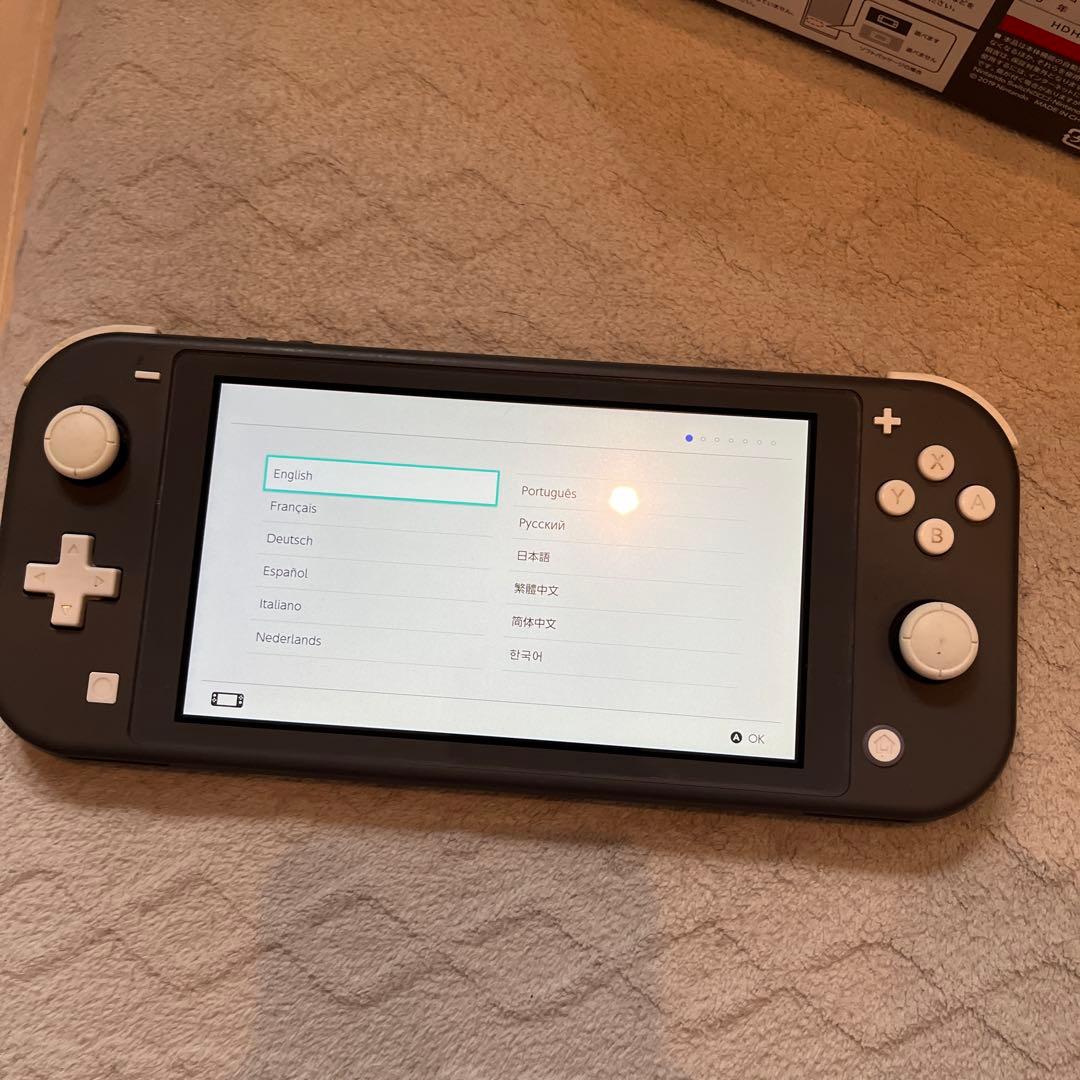 Nintendo Switch Lite グレー スイッチ ライト