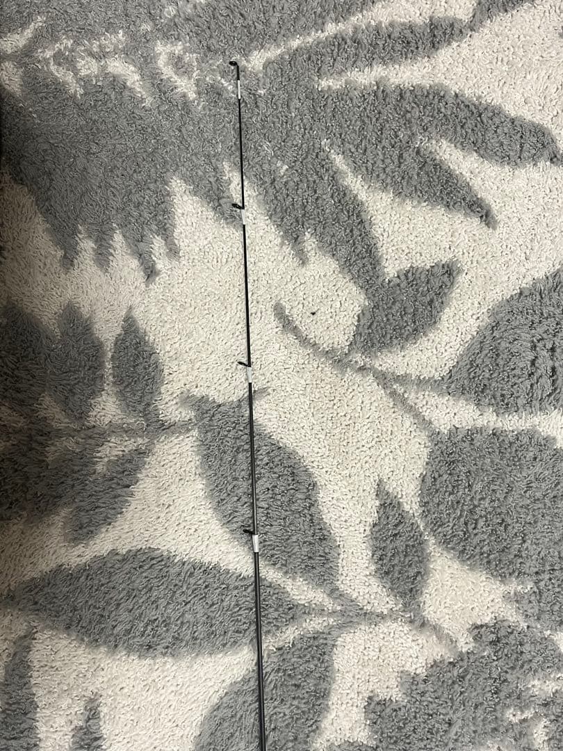 最終値下げ！極美品　テイルウォーク　アジストSD S55/SL