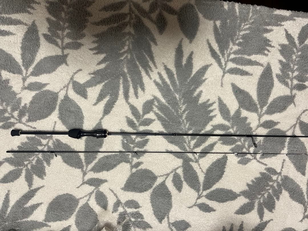 最終値下げ！極美品　テイルウォーク　アジストSD S55/SL