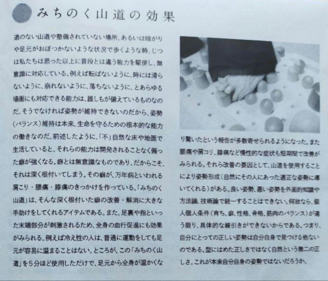 MARUMITSU みちのく山道 バランストレーニング 姿勢改善 木製