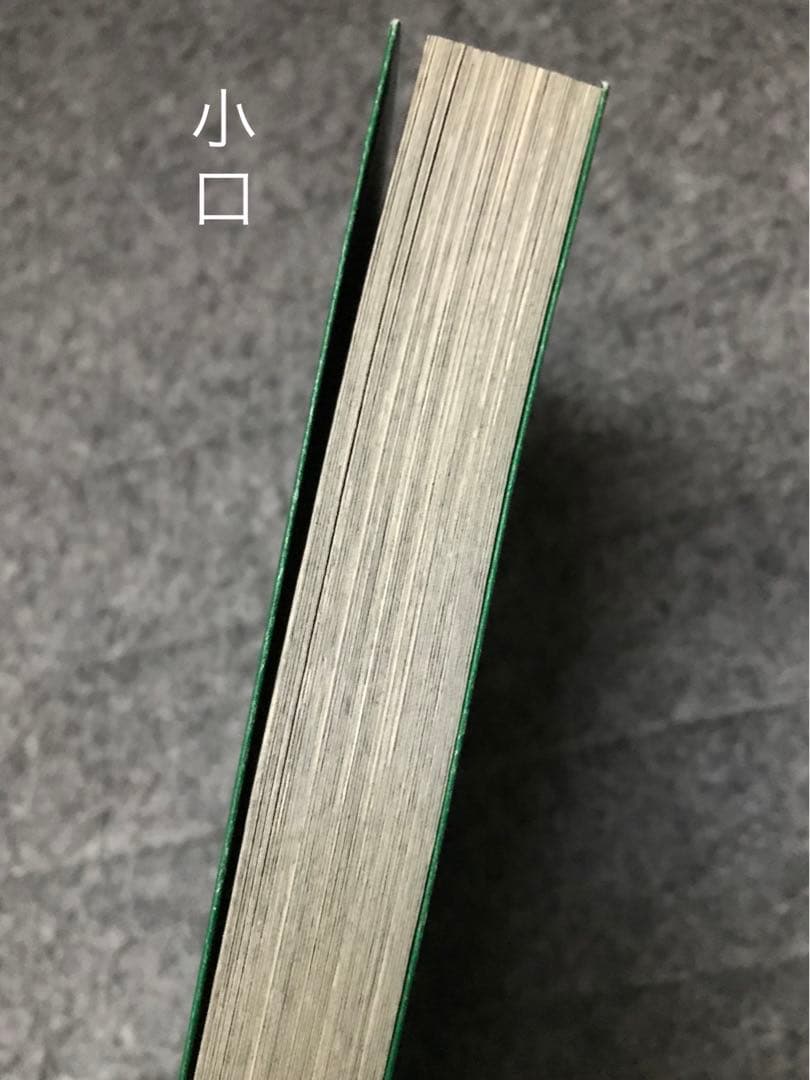 A HUNTER 狩人 新装版/ 森山大道DaidoMoriyama