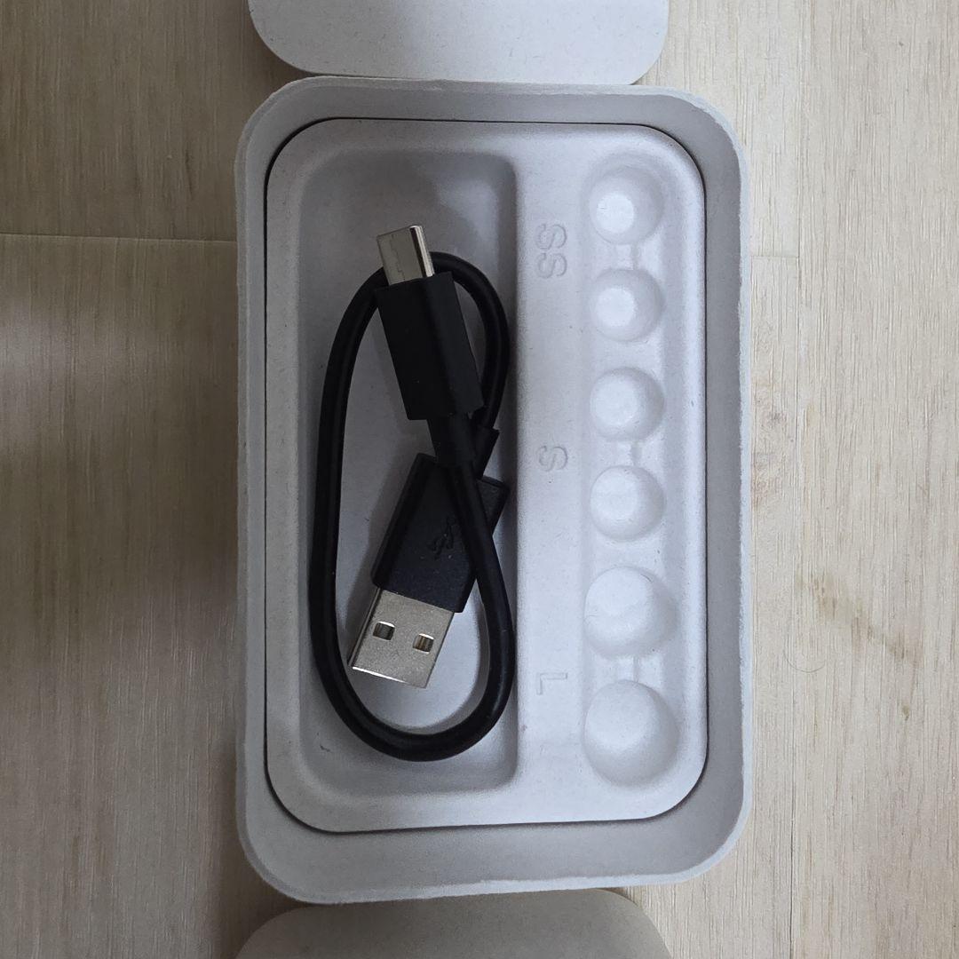 SONY WF-1000XM5 ワイヤレスイヤホン プラチナシルバー ケース付