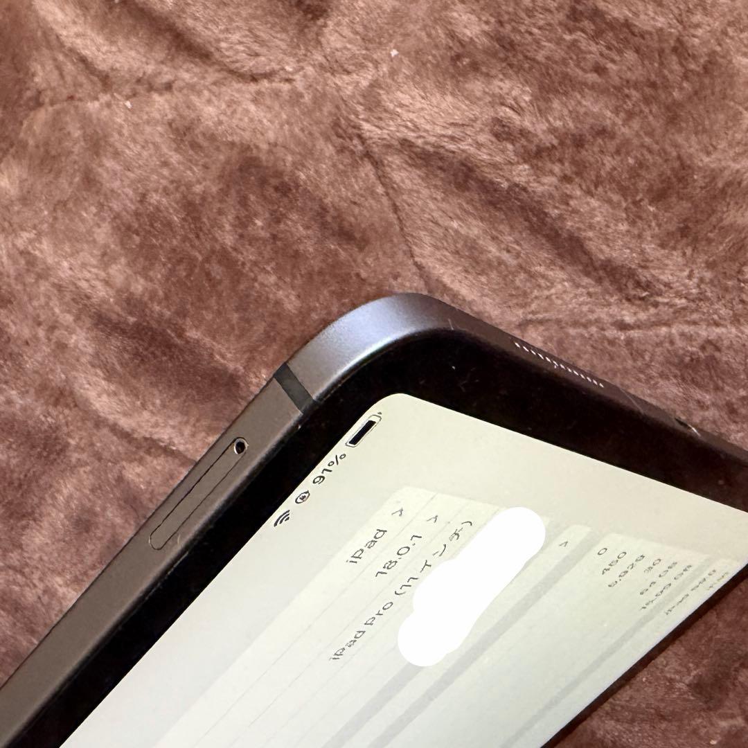 iPad Pro WiFi+Cellular 第一世代 11インチ