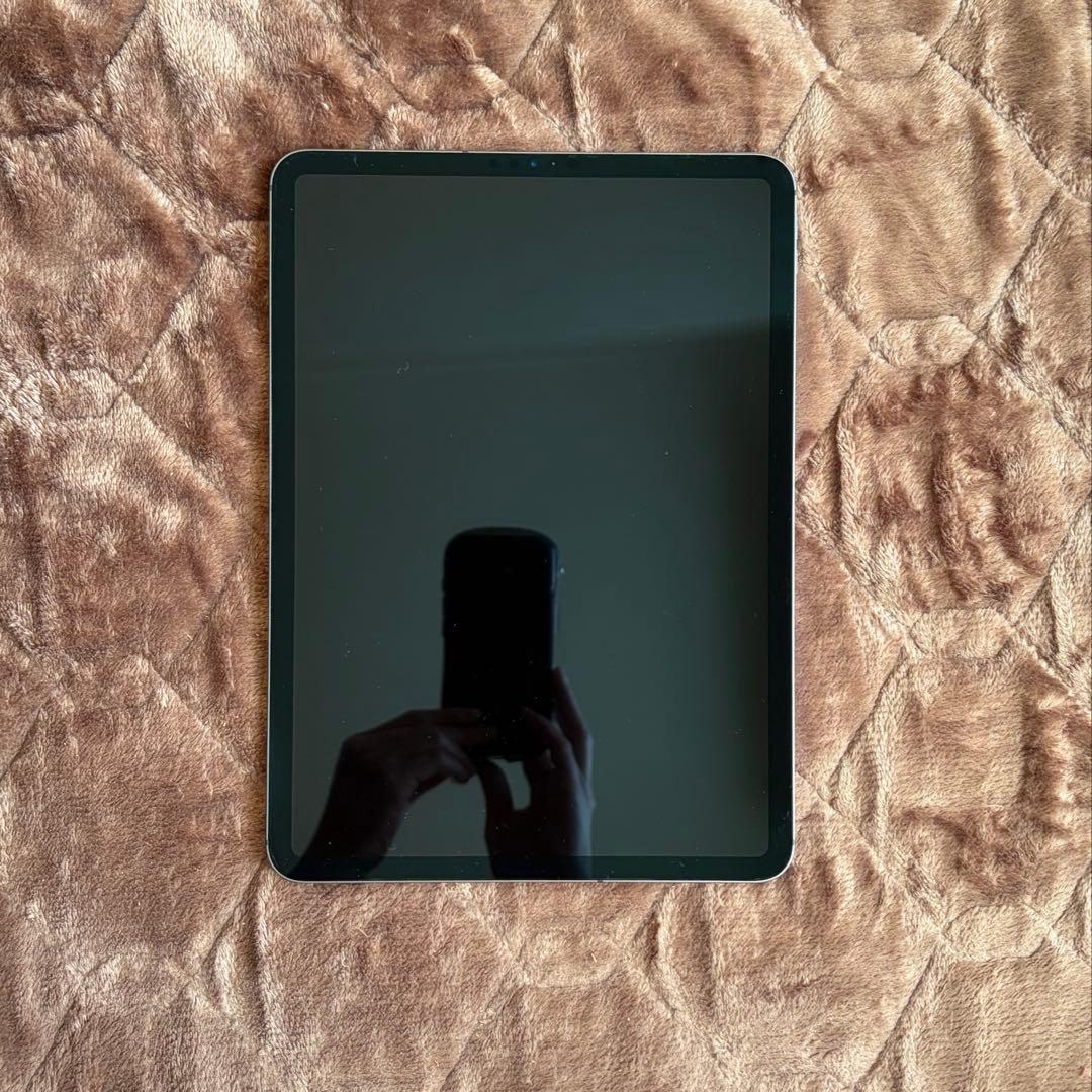 iPad Pro WiFi+Cellular 第一世代 11インチ