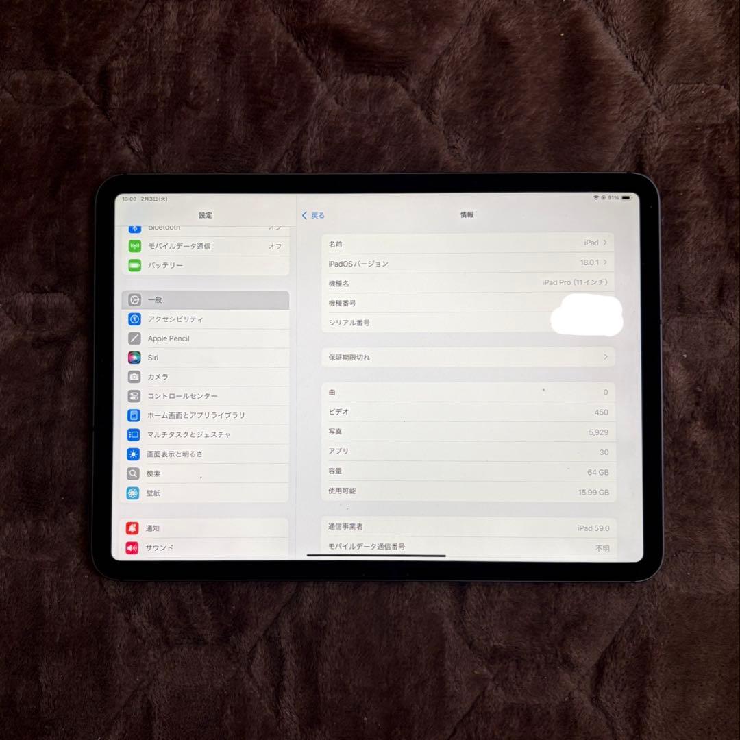 iPad Pro WiFi+Cellular 第一世代 11インチ