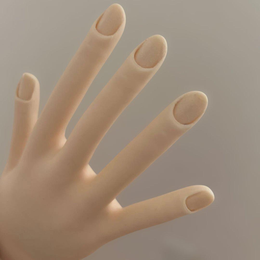 ※値下げ中※ネイリスト検定　認定モデルハンド