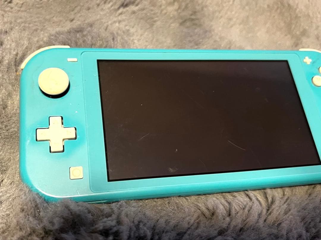 【さとる様】Nintendo Switch Lite 本体/充電器、箱、ケース