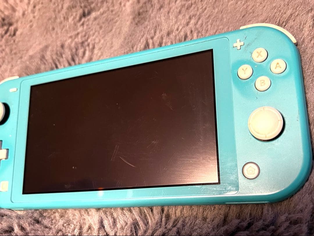 【さとる様】Nintendo Switch Lite 本体/充電器、箱、ケース