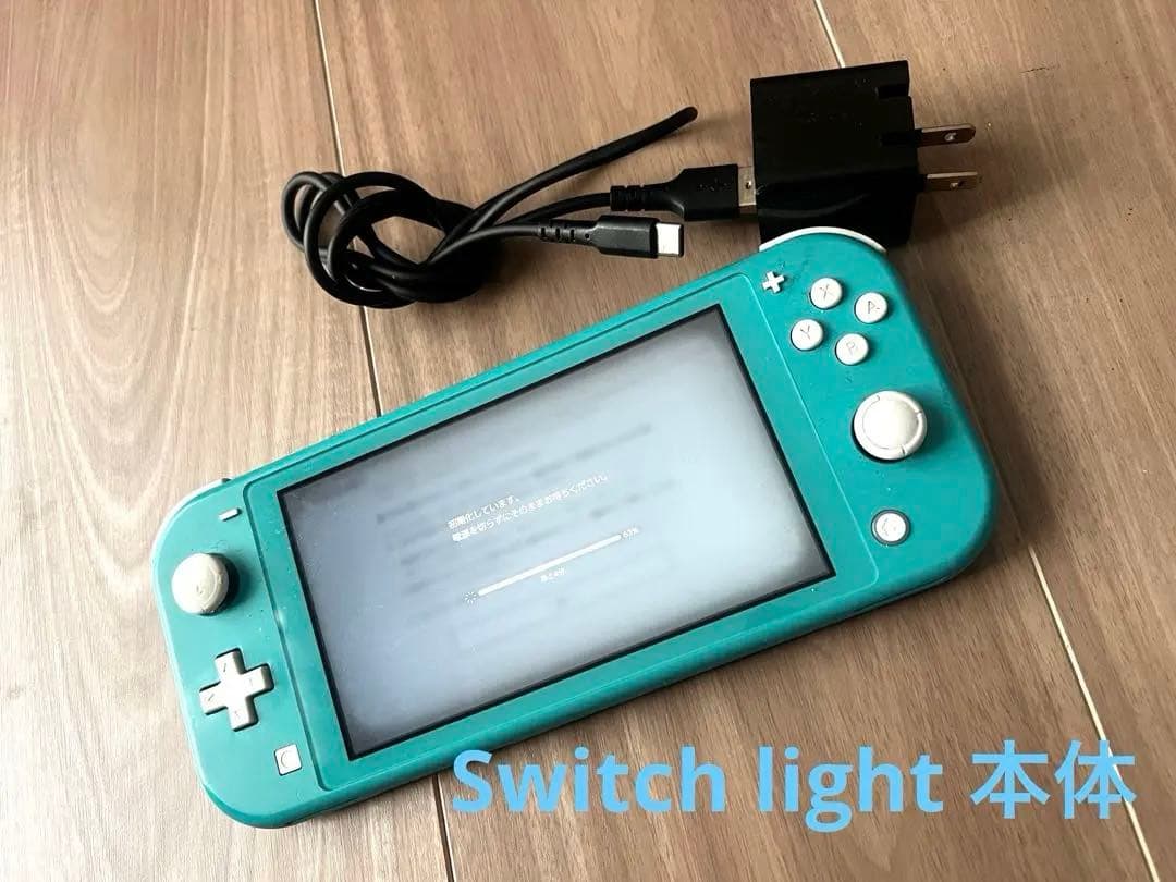 【さとる様】Nintendo Switch Lite 本体/充電器、箱、ケース