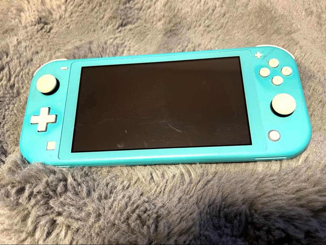 【さとる様】Nintendo Switch Lite 本体/充電器、箱、ケース