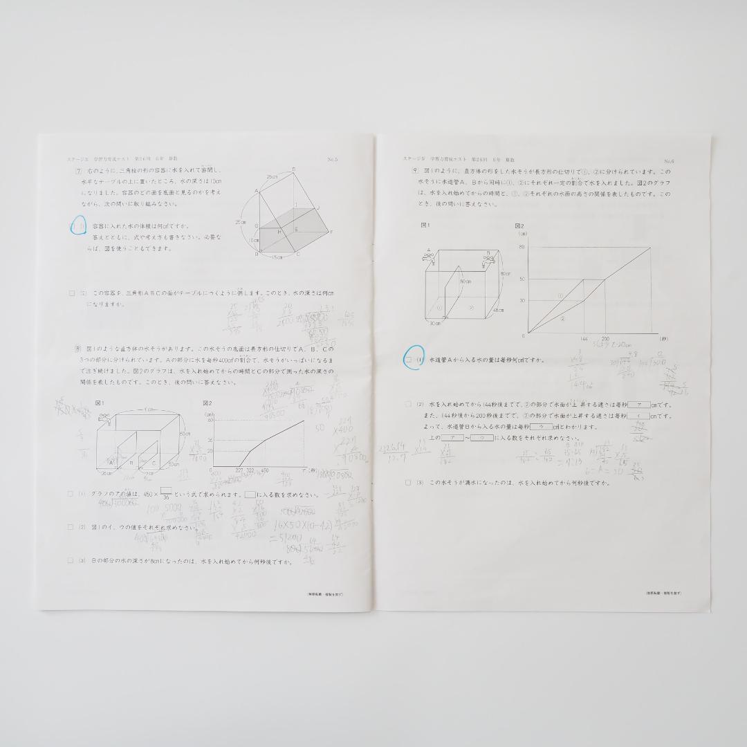 【最新版】日能研 2025年度 6年生 学習力育成テスト 17回分 解答あり