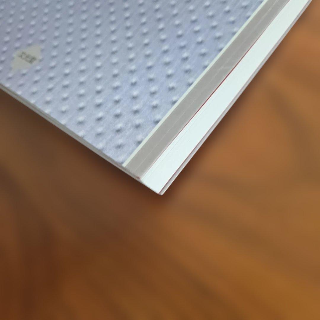 イラストで学ぶ系統的肺区域切除術 区切アトラス