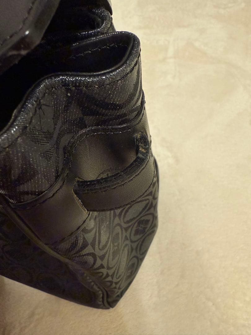 【激レア】エヴィス　デニムバーキン　バッグ　家紋