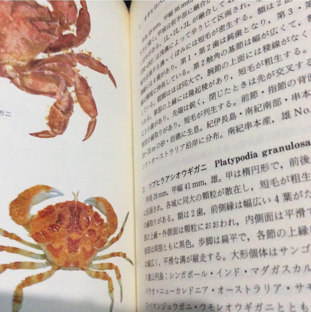 原色日本大型甲殻類II